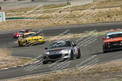 media/May-03-2025-Lucky Dog Racing (Sat) [[206de64b9d]]/Turn 4 A (3pm-4pm)/